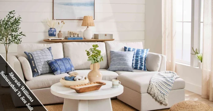 Sherwin Williams Rainwashed Vs Sea Salt wall color comparison in a sunlit living room with coastal decor.